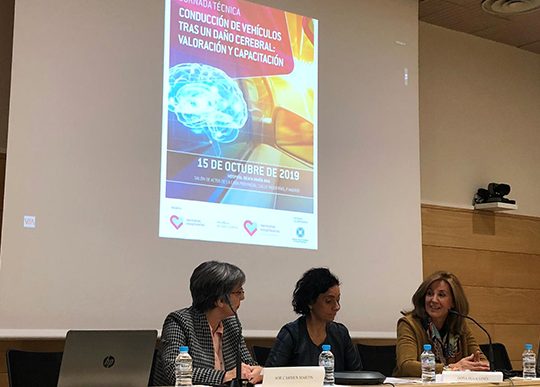 Guía completa: Cómo reemplazar un carnet de conducir dañado o ilegible