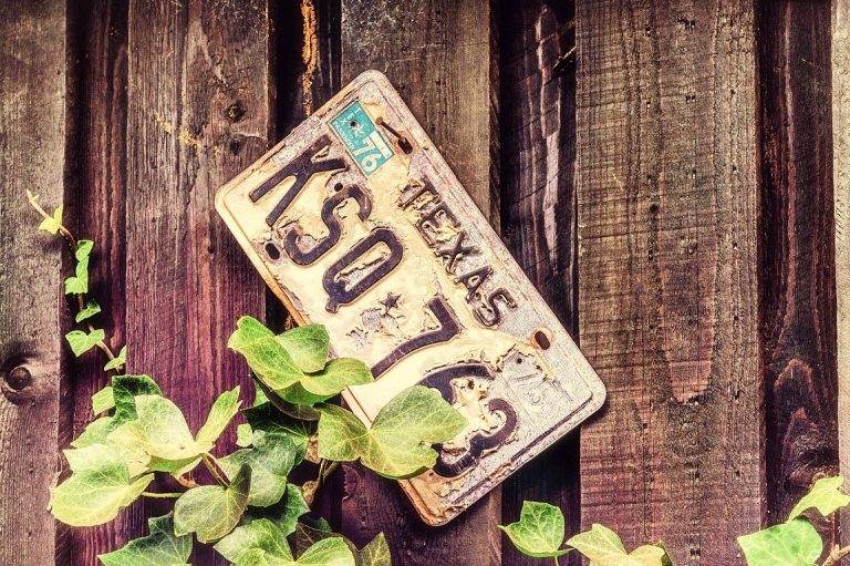 Año de los coches con matrícula G