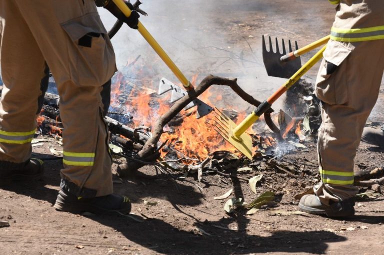 Multas comunes en verano por conductas imprudentes que debes conocer