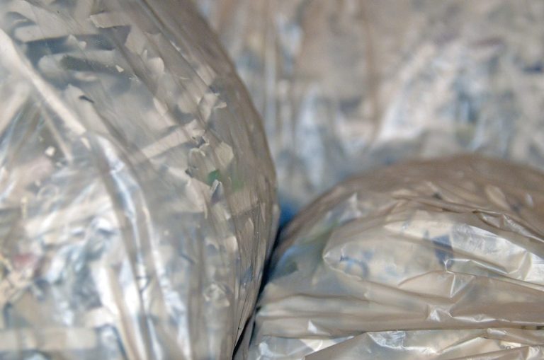 ¿Qué hacer si te roban el carnet de conducir? Guía práctica y consejos