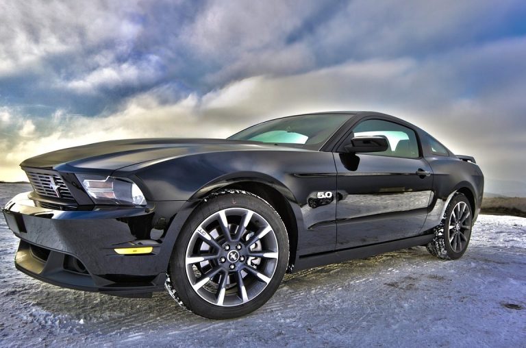 Consejos para viajar en coche con mascotas de forma segura y cómoda