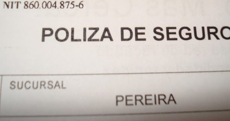 ¿Cómo verificar si mi coche está asegurado correctamente?