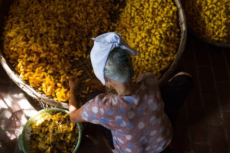 Obtén el carnet provisional de conducir rápido ¡Conduce hoy mismo!