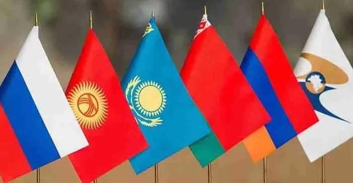 Pasos para obtener o renovar el permiso de conducir por puntos