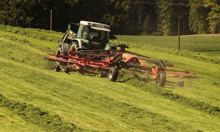 Averías más comunes en coches en verano y cómo prevenirlas